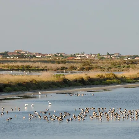 Les Voiliers/La Flotte En Re *